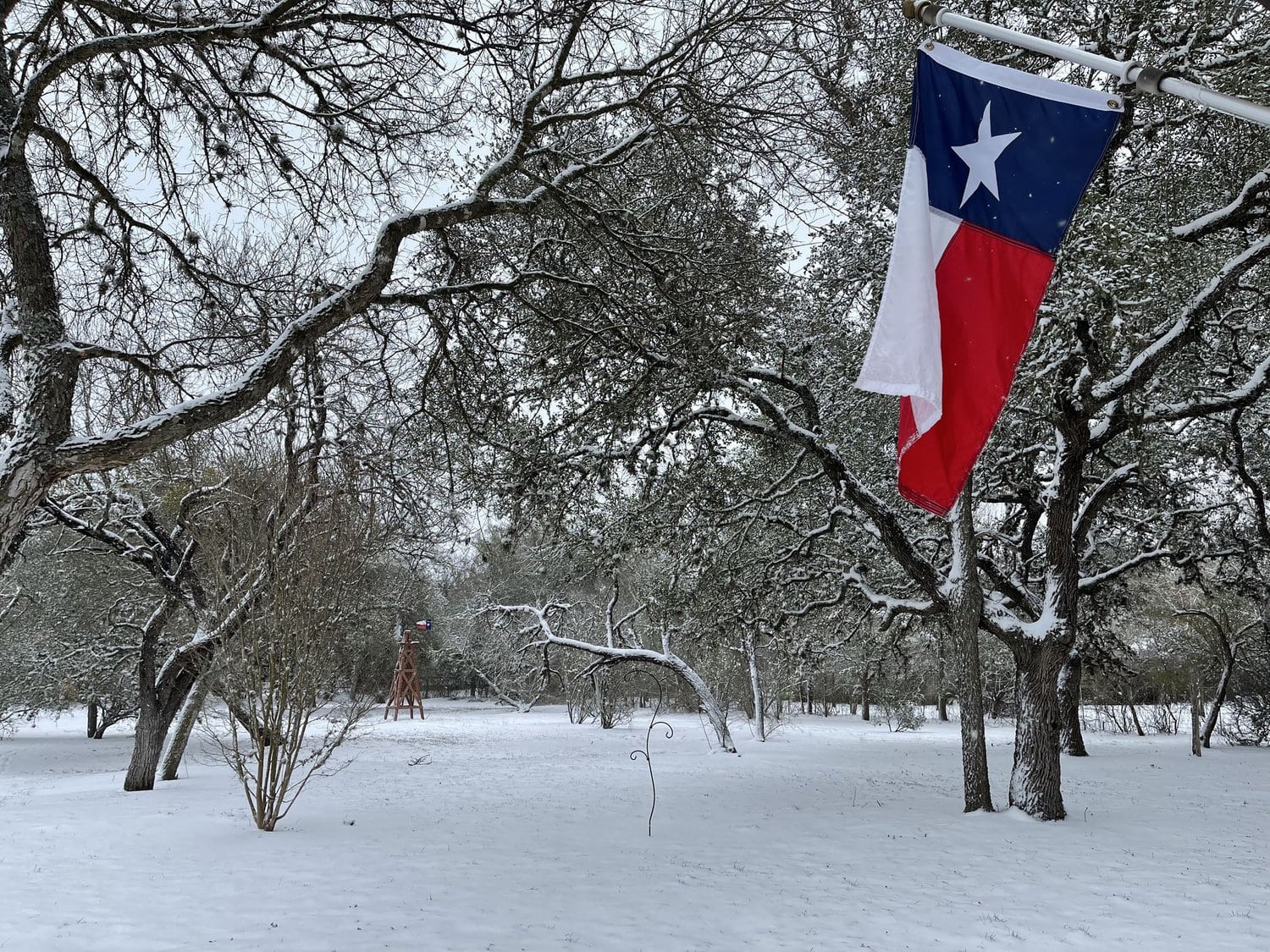 A Texas flag waving in the snow against a backdrop of snow-covered trees and a wintery landscape.