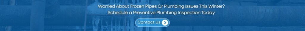 preventive plumbing inspection