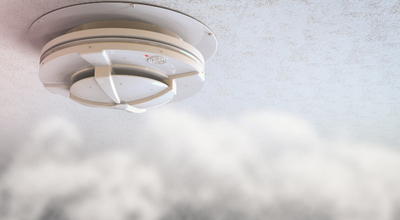 smoke co detector inspection