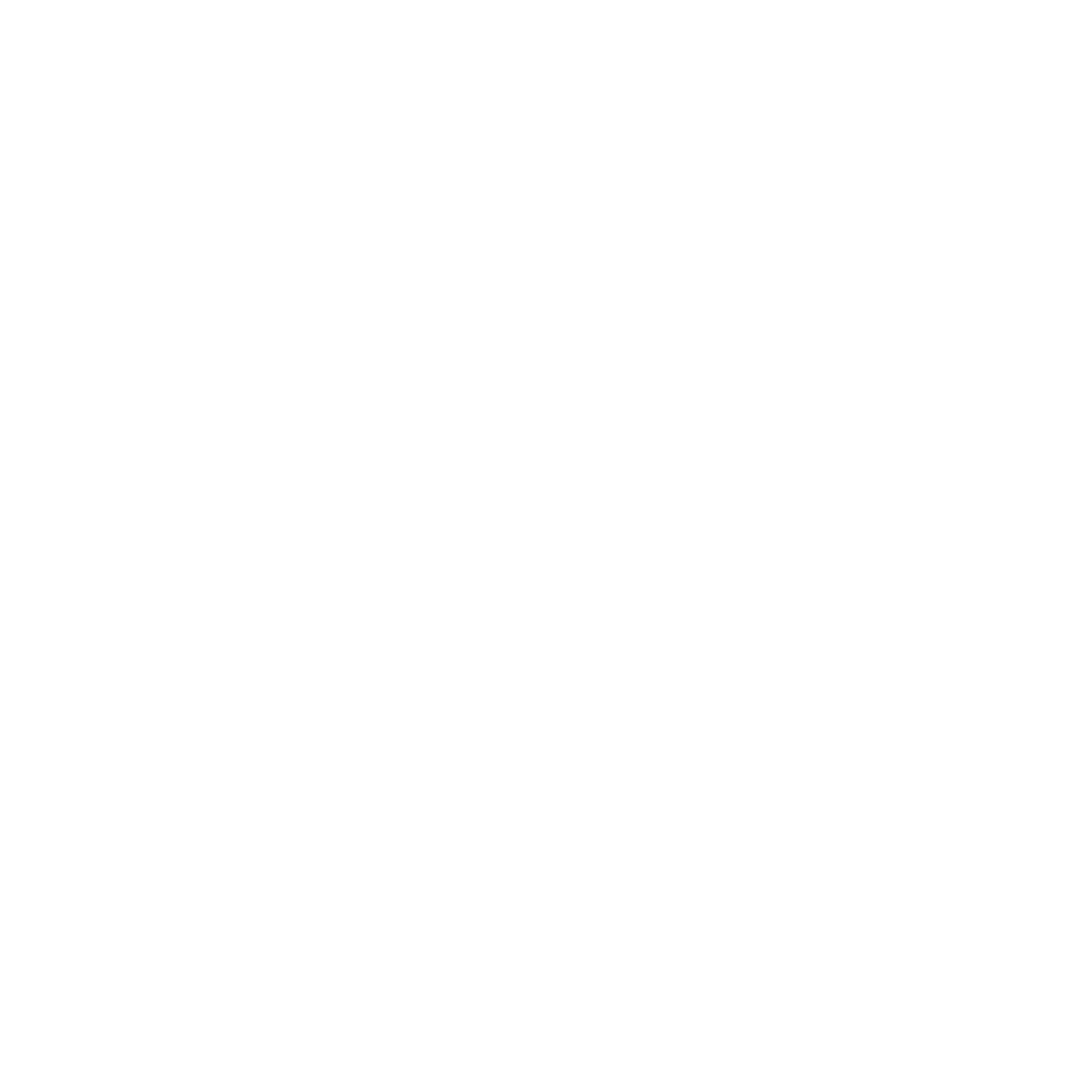 footer service icon (3)